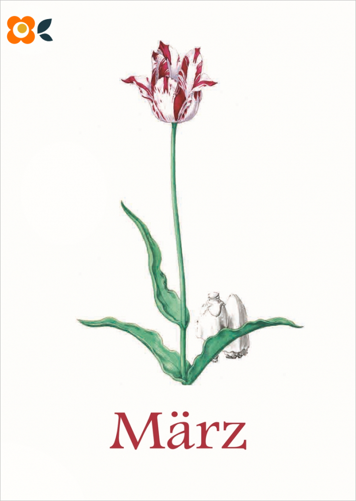 Postkarte 03/ Mrz, Liliput